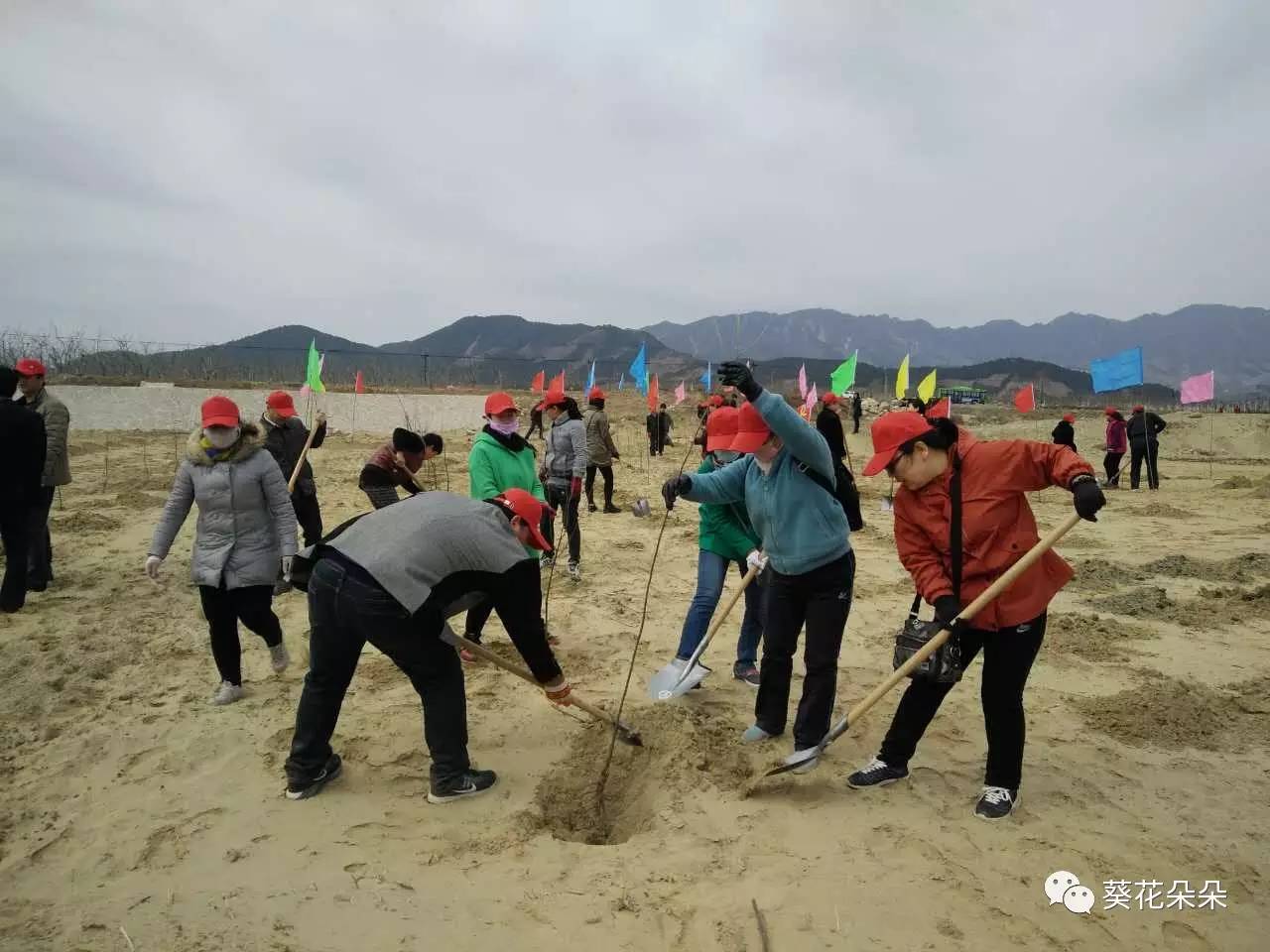 兴旺寨乡新领导团队，引领未来发展的先锋力量