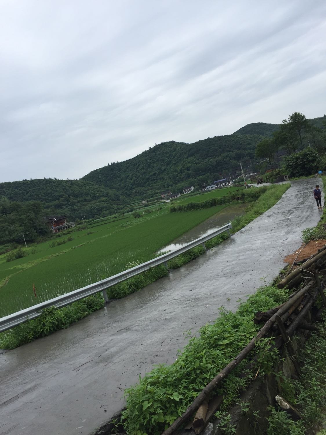 茅排乡天气预报更新通知