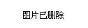 右玉县小学最新新闻动态报道速递