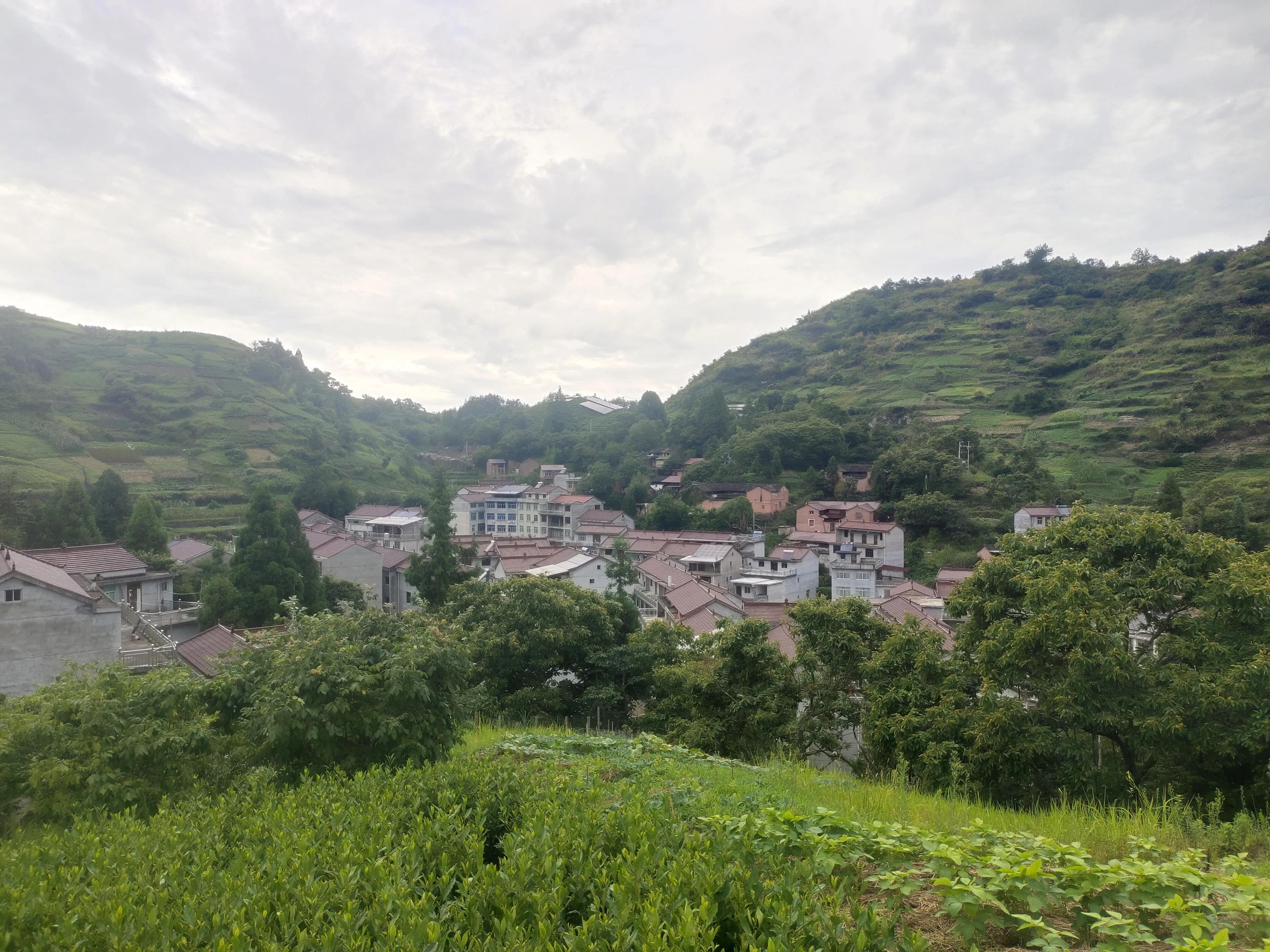 高山村重塑计划，引领乡村未来