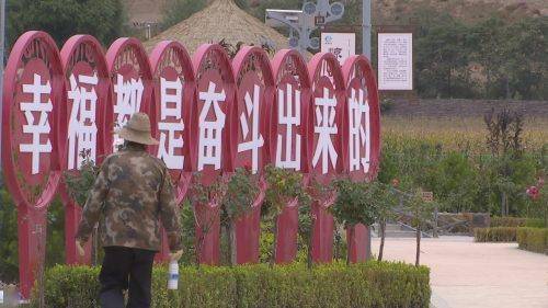 萱麻河村民委员会最新项目，乡村振兴典范引领之路