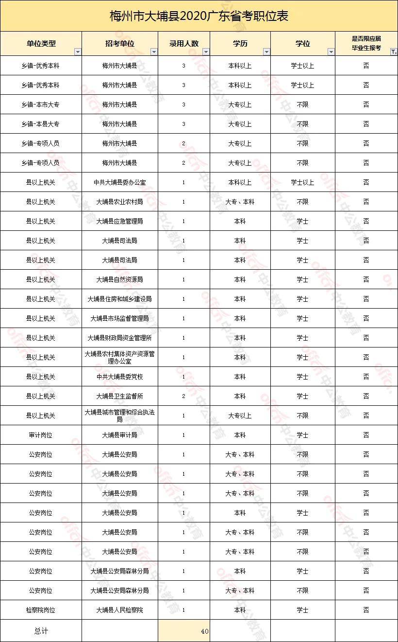 大埔镇人事任命重塑未来，激发新动能潜力