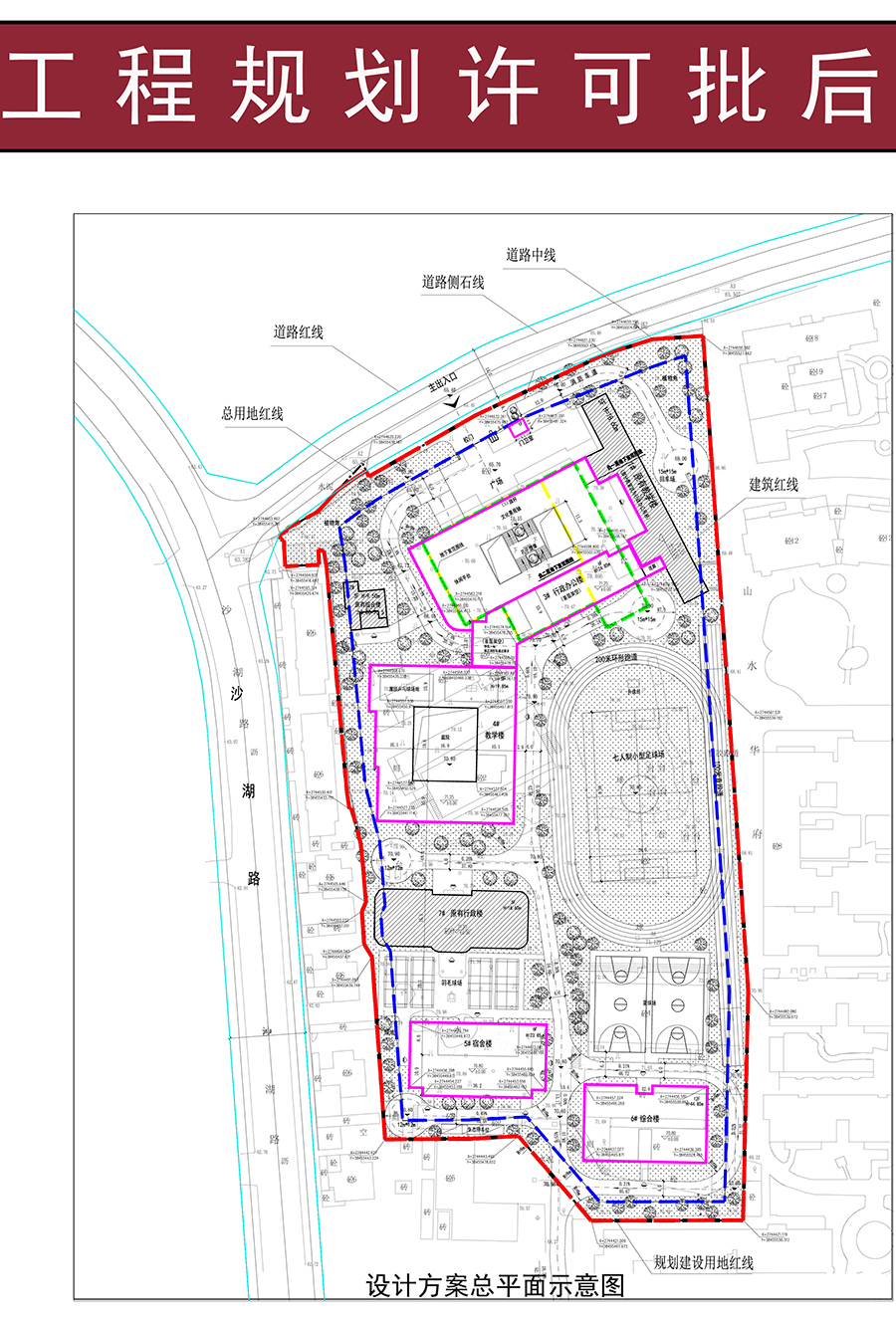 武江区小学未来发展规划概览