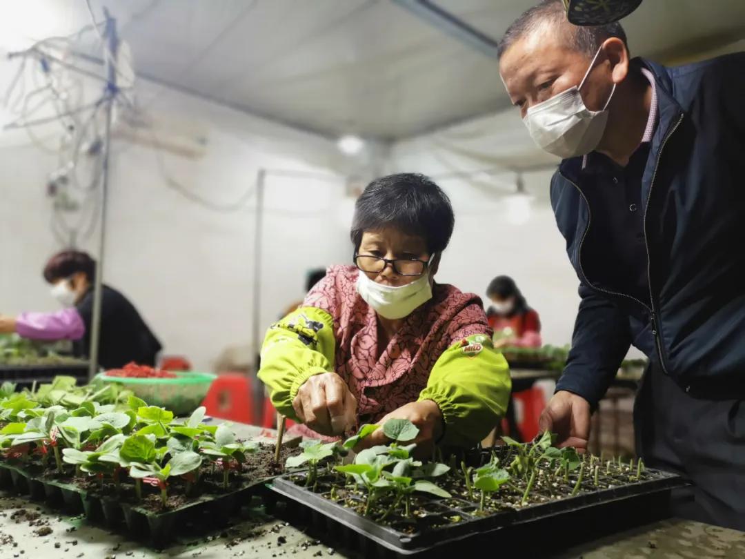 下村乡发展规划，繁荣与生态共融的未来乡村典范打造之路