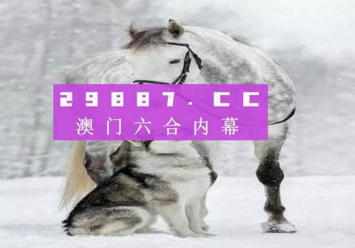 7777788888精准跑狗图正版,高速方案响应解析_入门版91.466