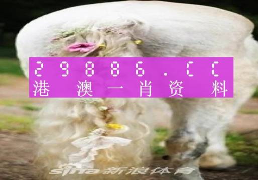 今晚一肖一码澳门一肖四不像,具体步骤指导_VR版58.425