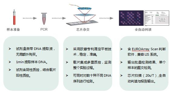 新澳门内部资料精准一肖一特,定性说明解析_FHD版54.130