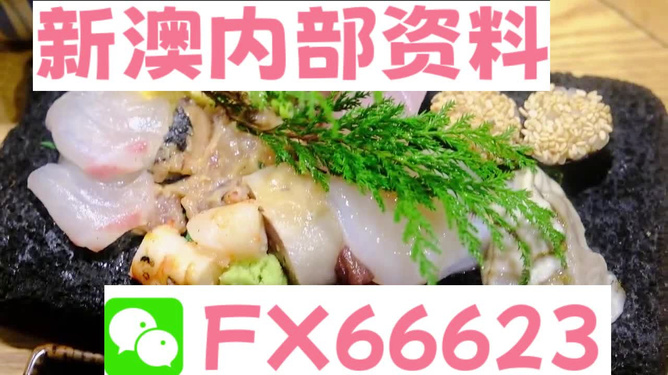 新澳精准资料免费大全,最新动态解答方案_RemixOS62.145