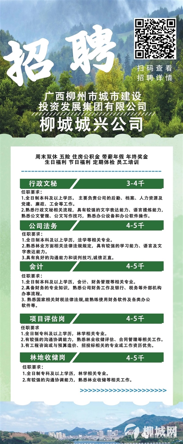 穆棱林业局最新招聘概览