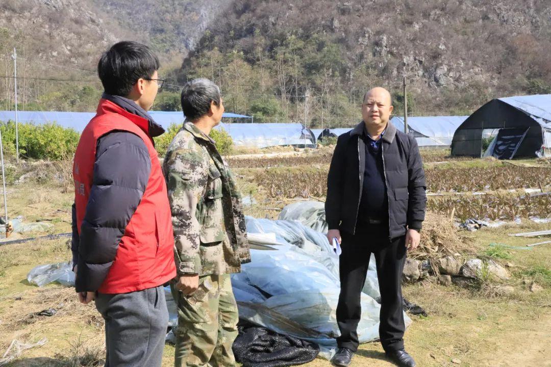 东田镇最新项目，地方发展的强大引擎驱动力