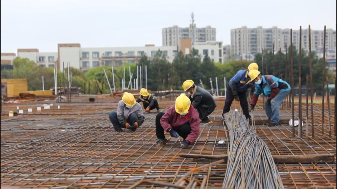 衢江区体育馆最新项目，现代化体育新地标打造启动