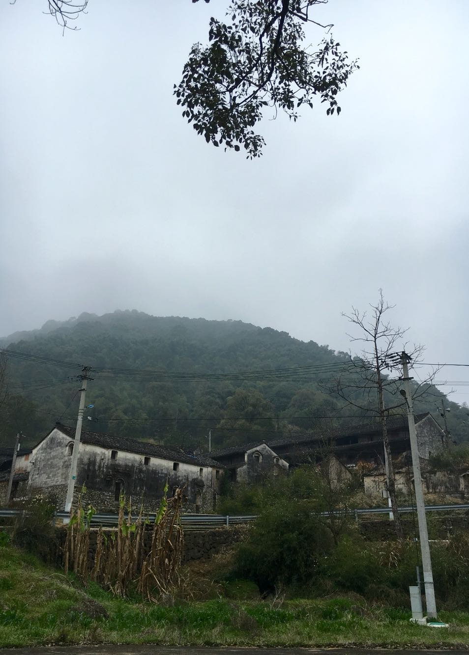 夏道镇天气预报更新通知