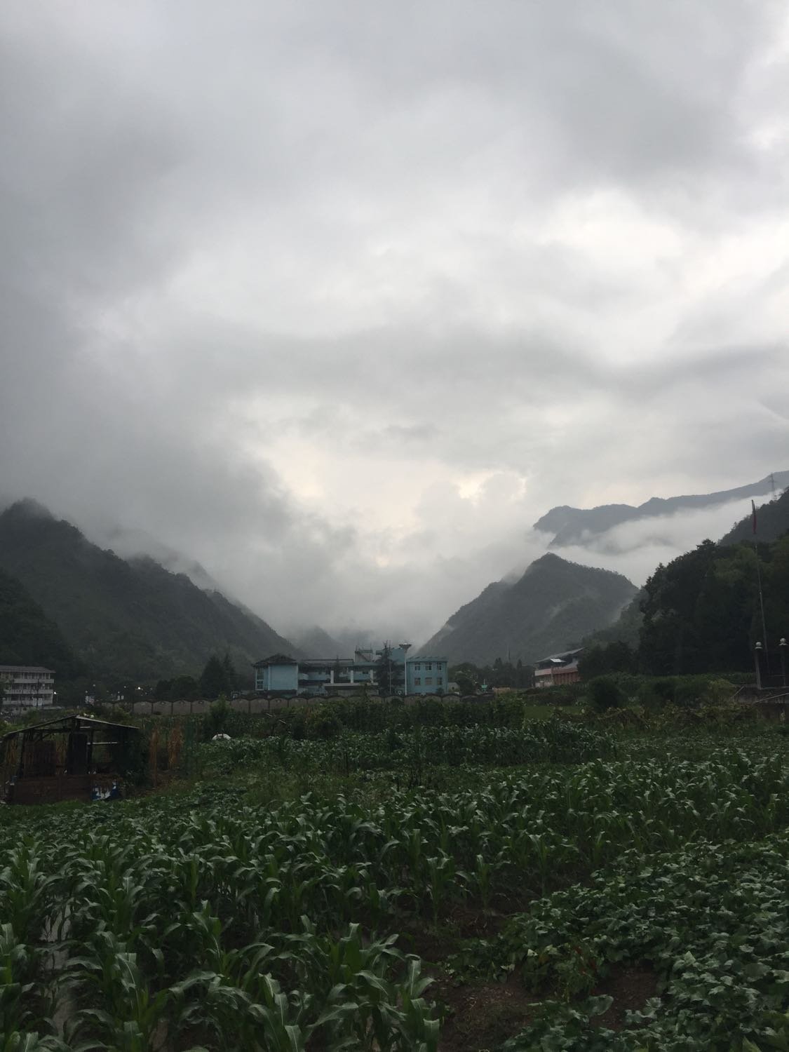 九山镇天气预报更新通知