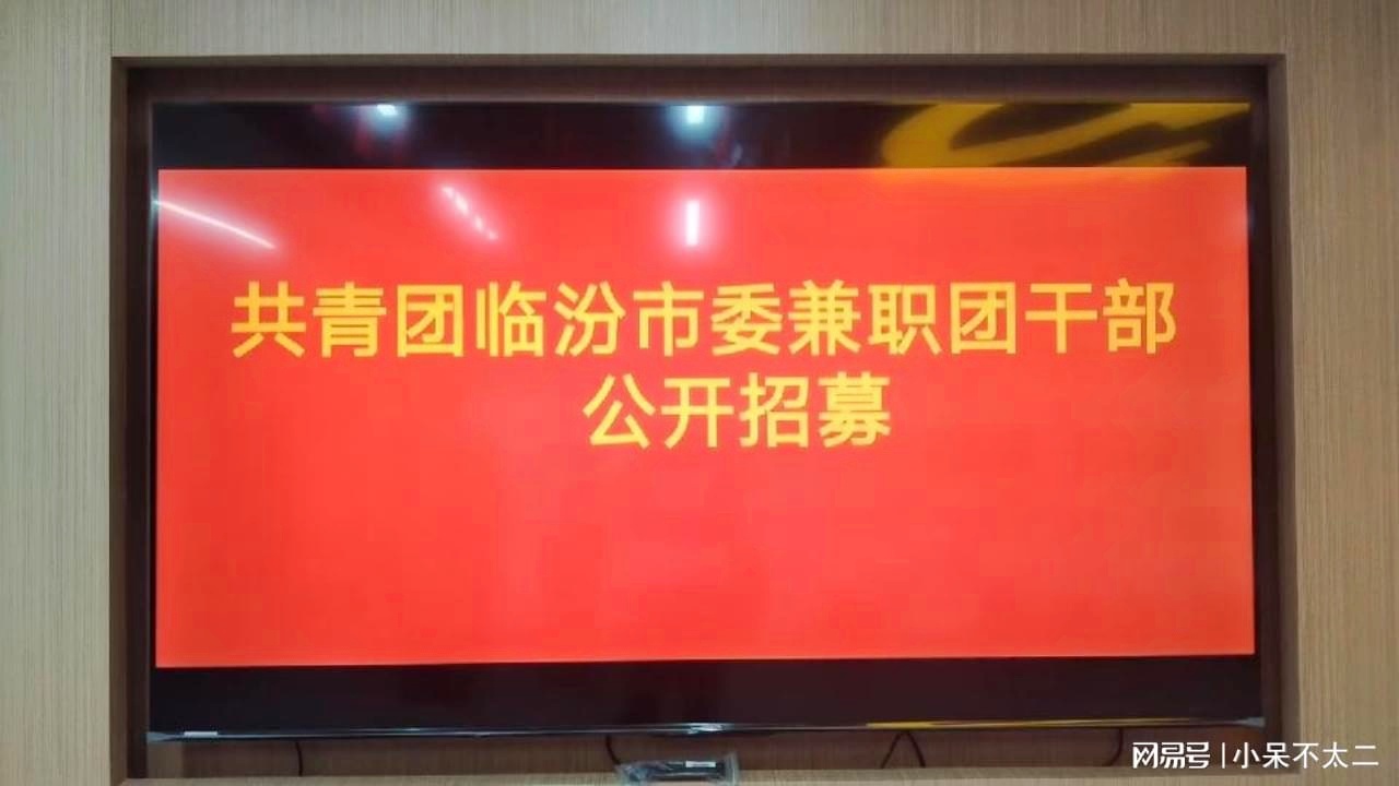 梧州市共青团市委招聘启事概览