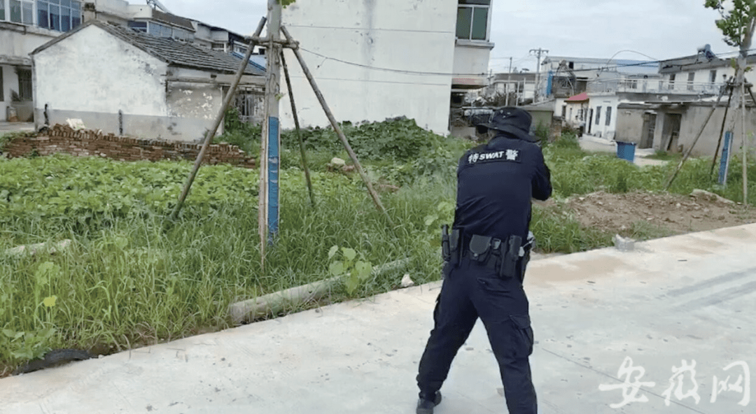 华阳河农场总场最新动态报道