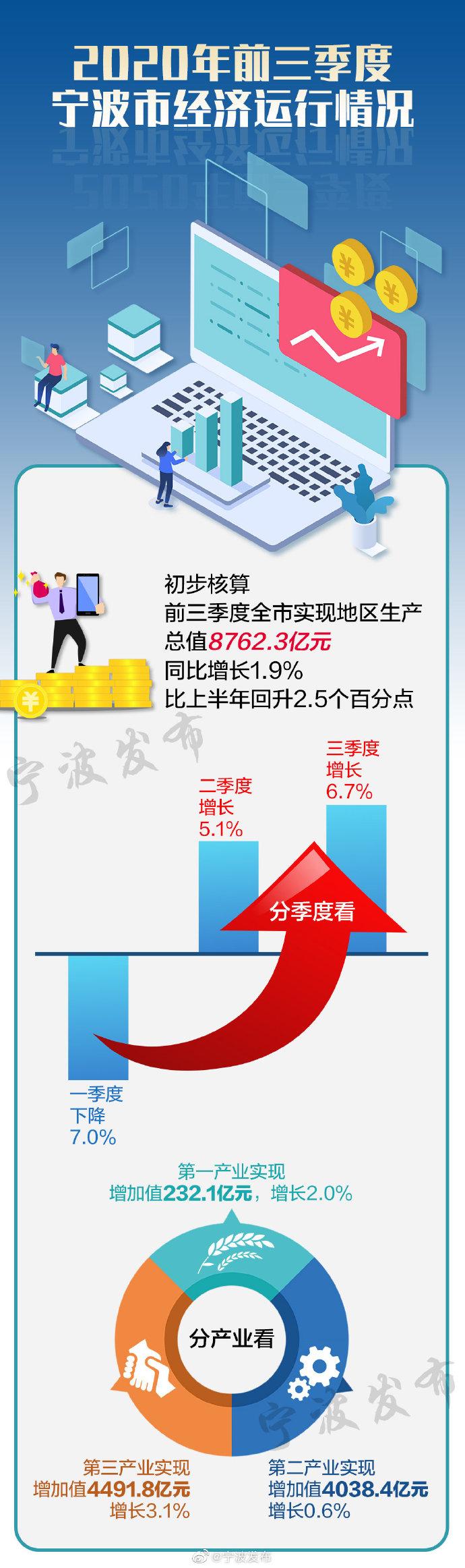 宁波市企业调查队最新项目深度解析报告发布