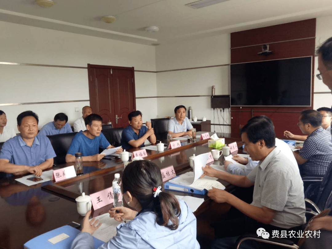 费县农业农村局发展规划揭晓，塑造乡村新未来