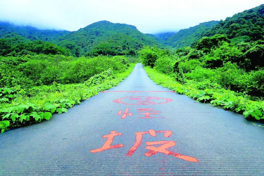 国营惠东梁化林场绿色项目，探索与实践发展之路