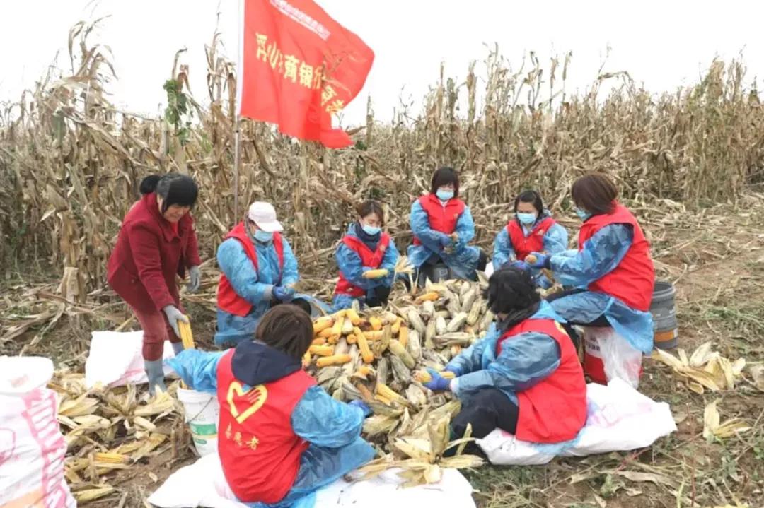 山西省临汾市浮山县天坛镇发展规划解析，最新蓝图展望