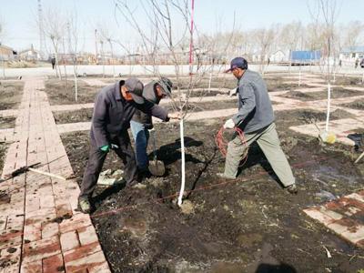 克东县科技局新项目引领创新，助推地方经济腾飞