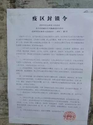 沈北新区农业农村局人事任命揭晓，开启发展新篇章