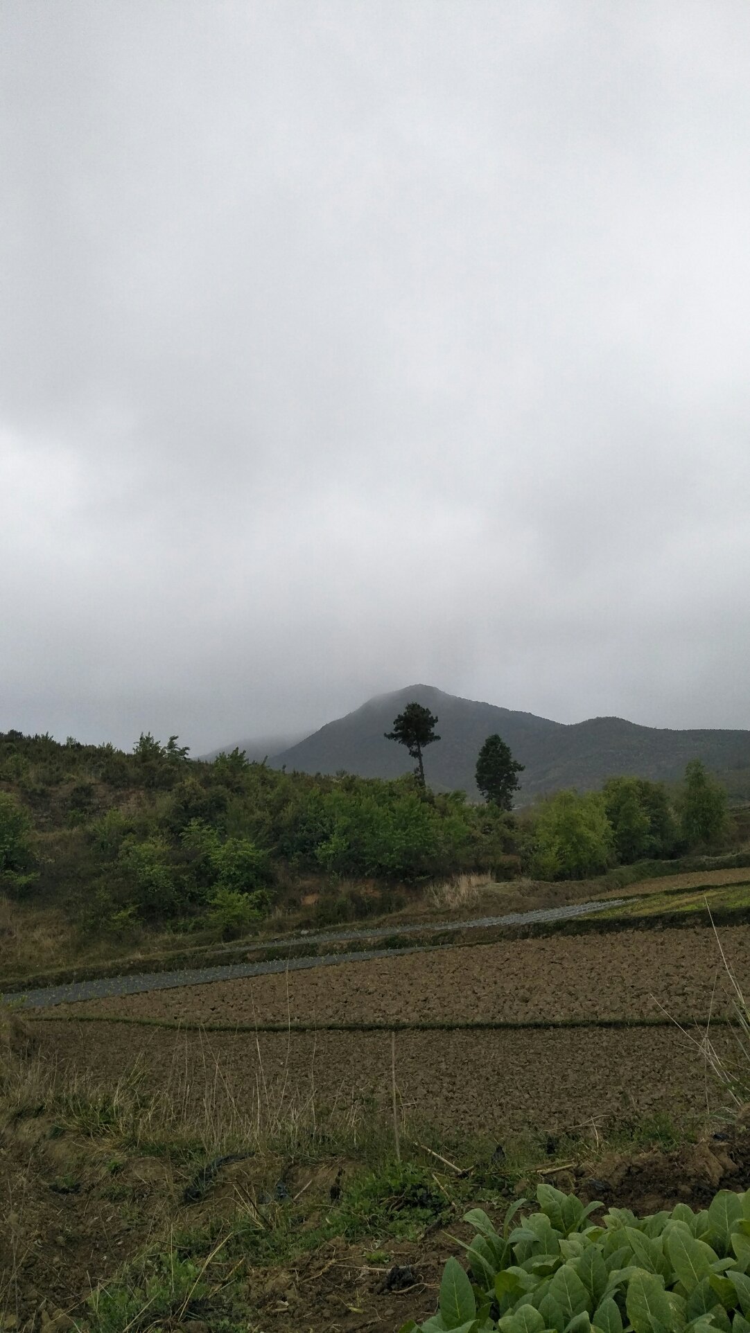 索那村今日天气预报