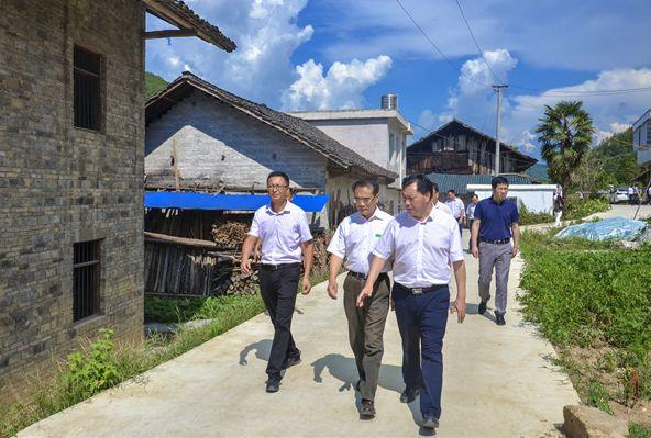 新阳村民委员会领导团队，乡村发展的核心力量引领者