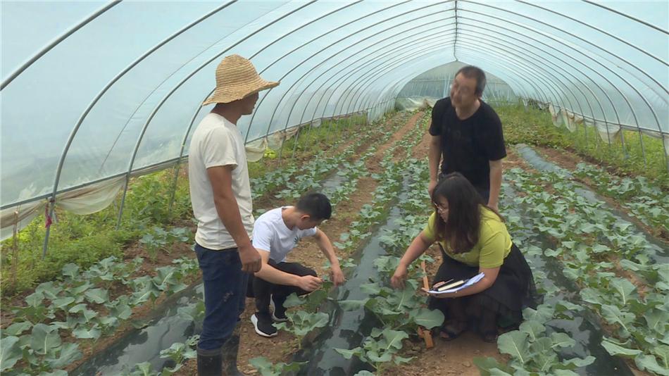 温缑村委会最新动态报道