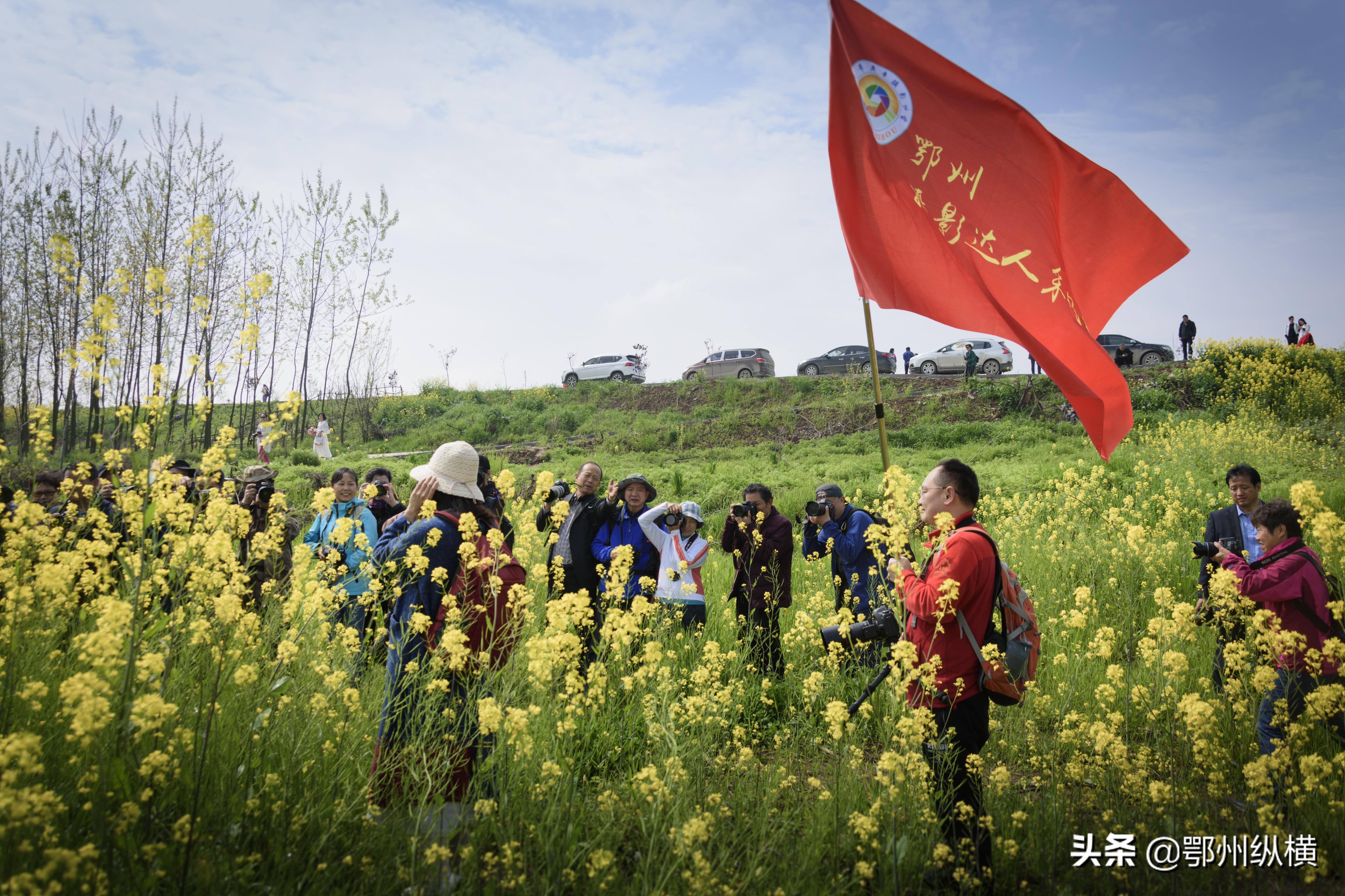 湖北省鄂州市华容区最新新闻概览发布