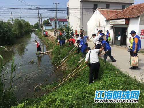 海门市长江芦荡养殖场领导团队新阵容，引领未来，铸就辉煌成就