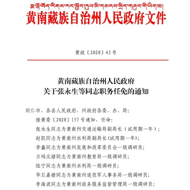 新沙村人事任命揭晓，引领村庄开启新篇章