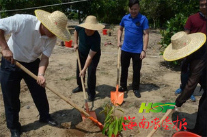 荣光农场重塑农业生态，乡村振兴新篇章启动