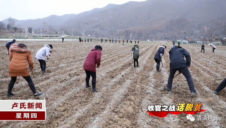 官坡镇最新项目，地方发展的强大引擎驱动力