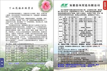 中心苗卜最新招聘信息深度解析