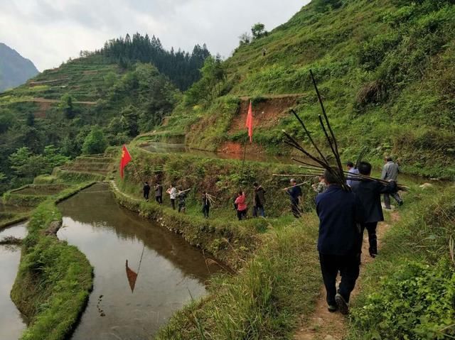 竹舟江苗族乡天气预报与气候深度解析