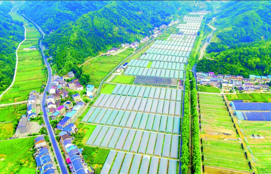 吉首市农业农村局规划现代化农业新篇章发展路径