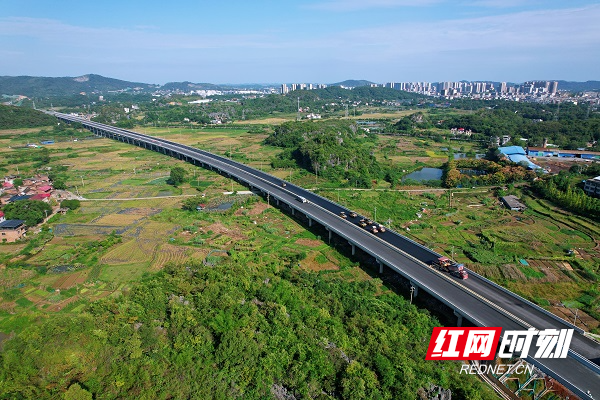 道干林场交通新闻，区域交通发展迈入新篇章