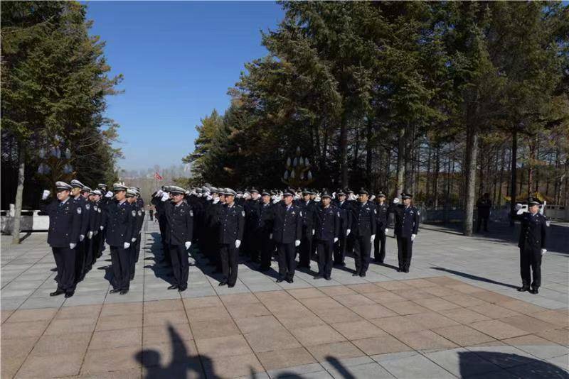 宝清县公安局最新项目概览，全面解读服务与安全升级举措