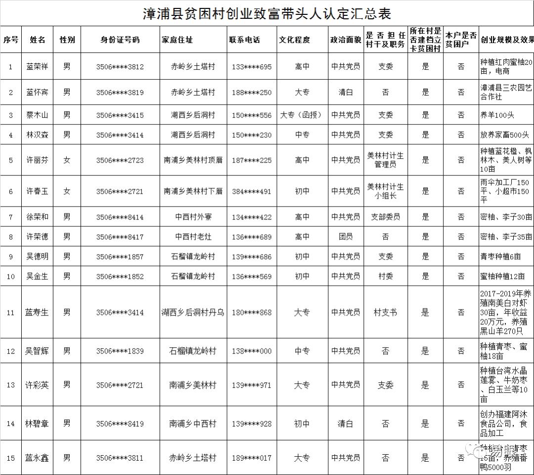 漳浦县人民政府办公室最新项目概览及深度解读