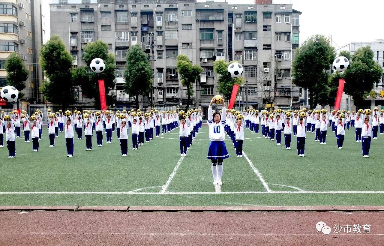 沙市区小学最新项目，开启未来教育新篇章