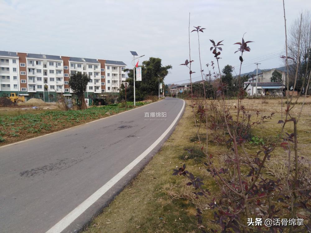 梓潼县公路运输管理事业单位招聘概览