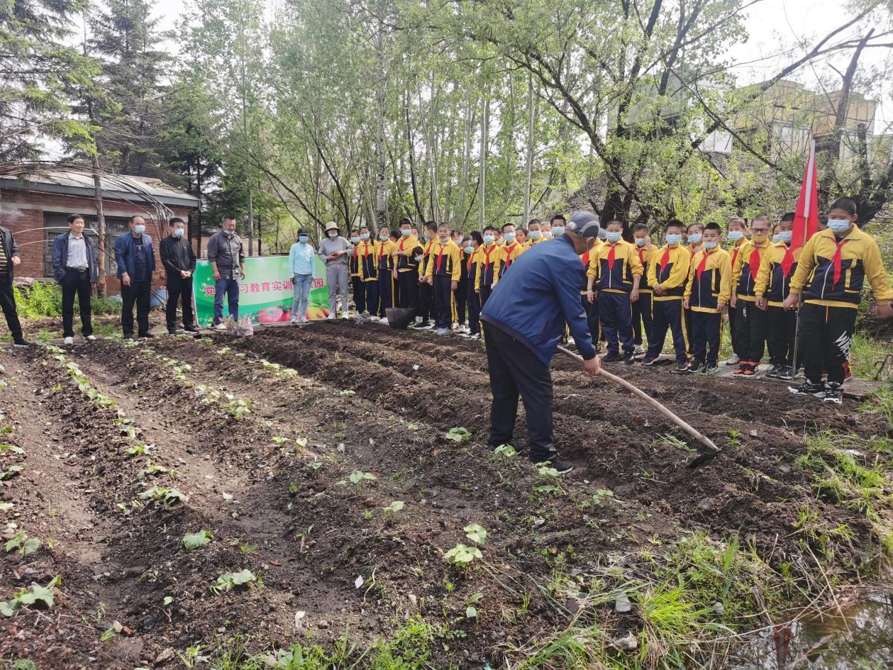 铁力市市场监督管理局最新项目概览与动态