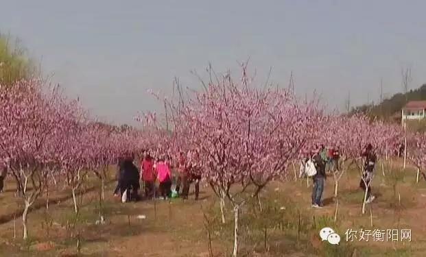 茶山坳镇交通升级助力新征程迈步