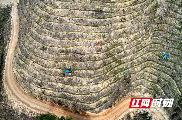 北山村委会发展规划引领乡村未来繁荣，塑造新面貌